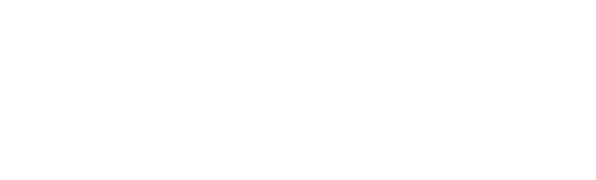 LE PARISIEN logo blanc