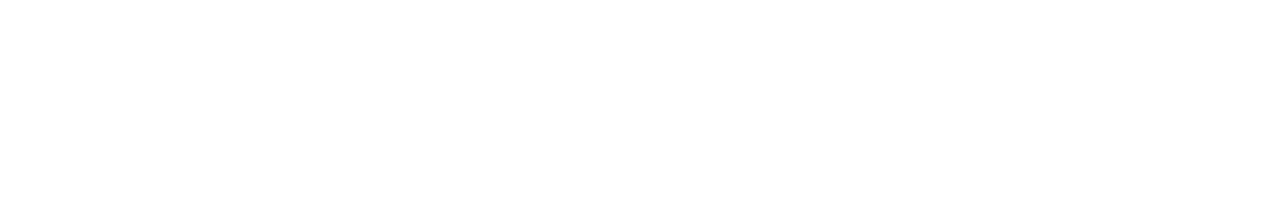 STRATEGIES logo blanc